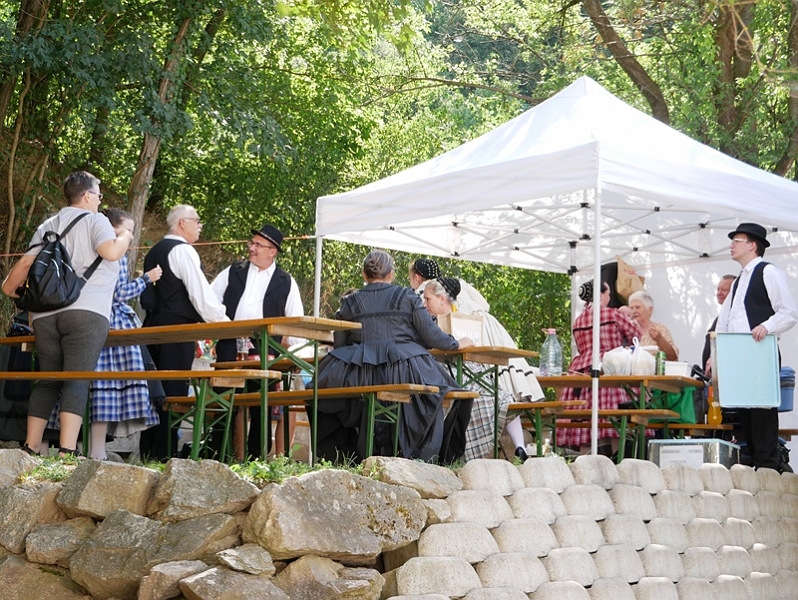 P1200616-crop.JPG