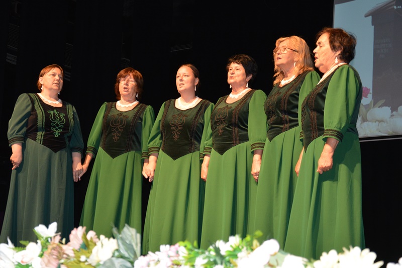 45-crop.JPG