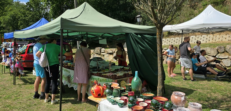 P1260529v-crop.jpg