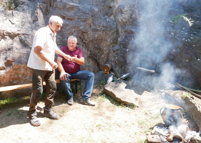 P1260572-crop.JPG