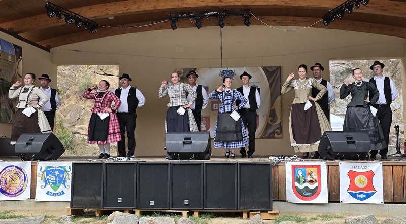 P1260663v1-crop.jpg