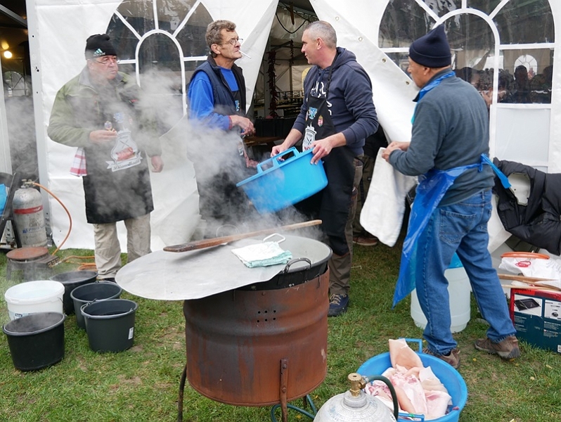 P1270473-crop.JPG