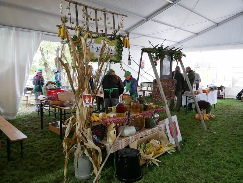 P1270488-crop.JPG