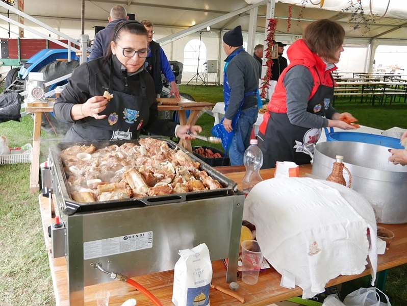P1270533-crop.JPG