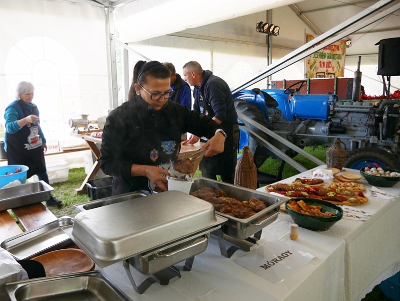 P1270570-crop.JPG
