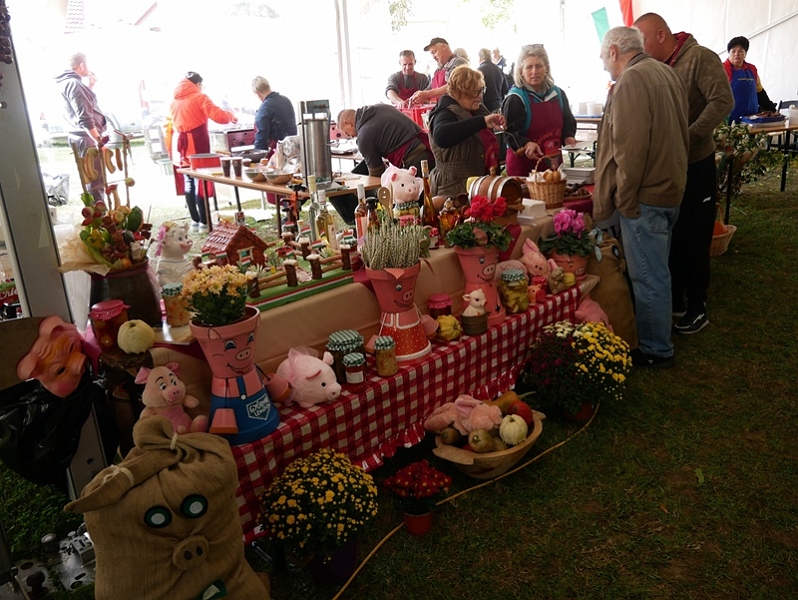 P1270649-crop.JPG